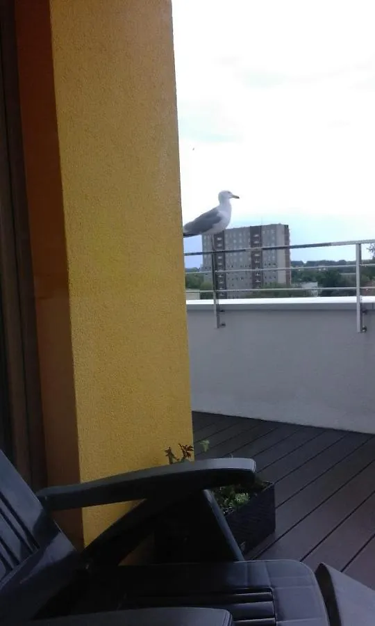 Wyśmienity Apartament Miodowy Kołobrzeg Polska